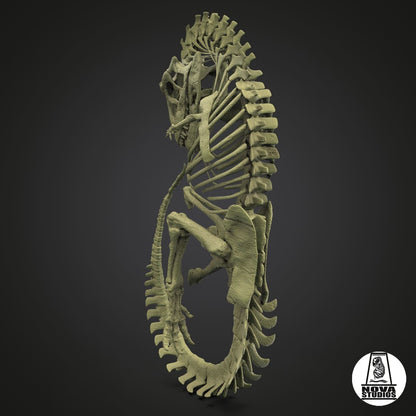 Carnotaurus fetus
