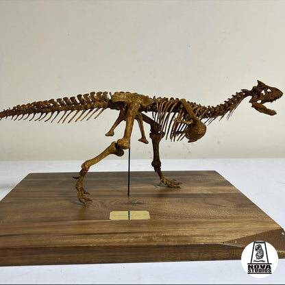 Carnotaurus Sastrei-Skelett