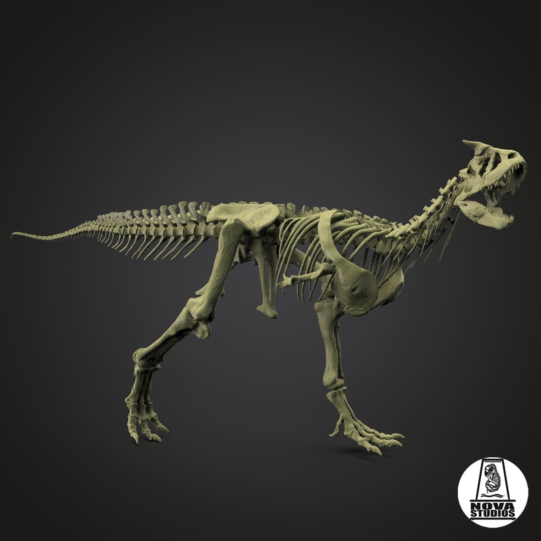 Carnotaurus Sastrei-Skelett