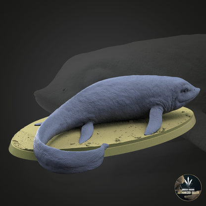 Cartorhynchus lenticarpus