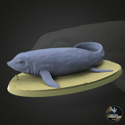 Cartorhynchus lenticarpus