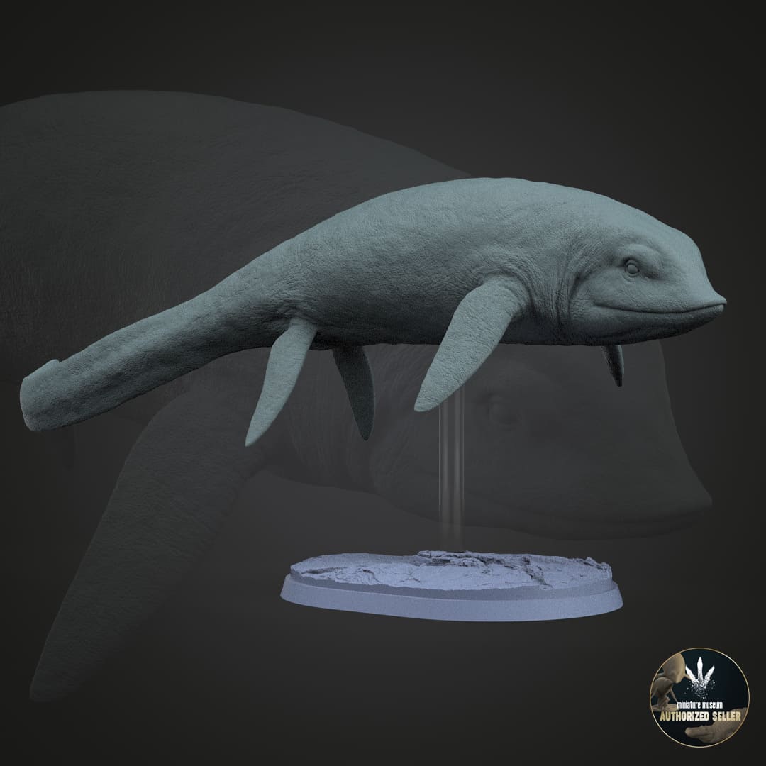 Cartorhynchus lenticarpus