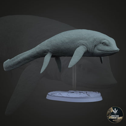 Cartorhynchus lenticarpus