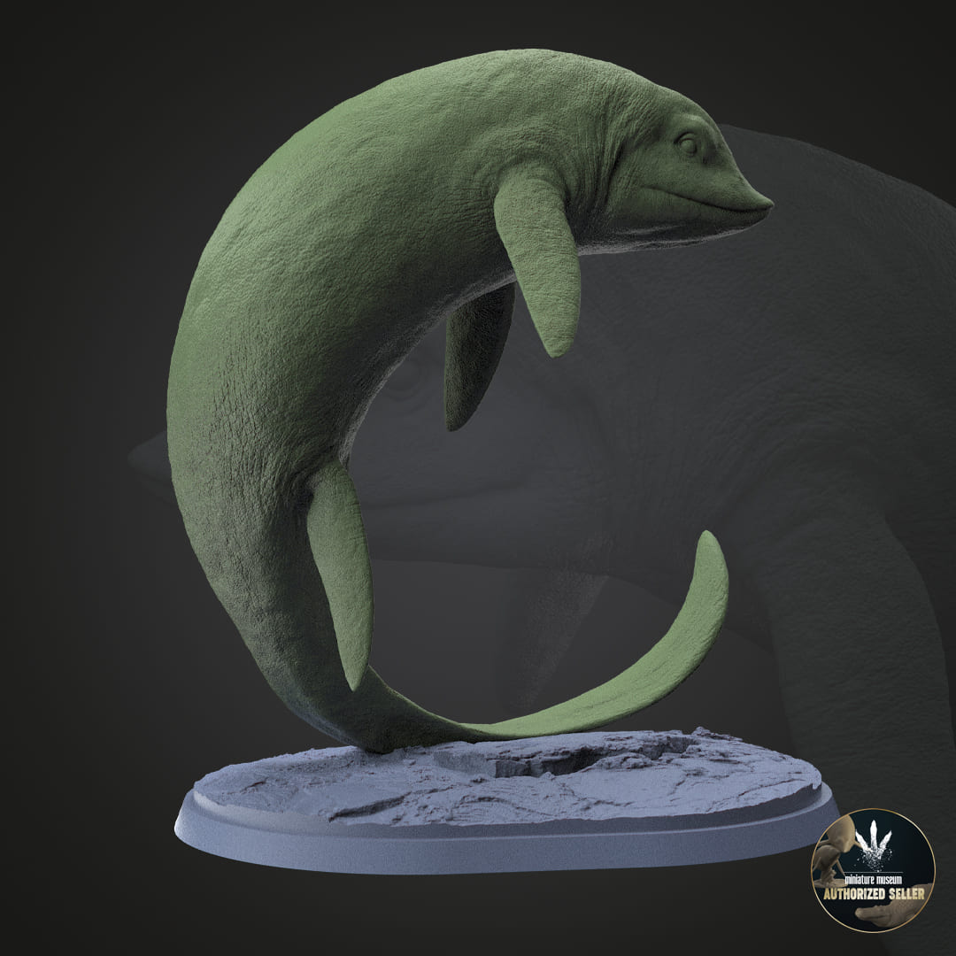 Cartorhynchus lenticarpus