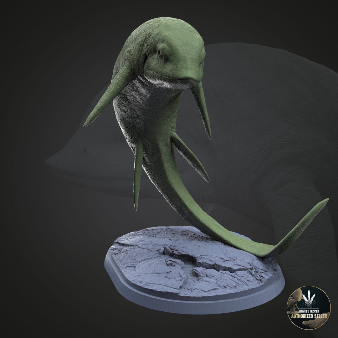 Cartorhynchus lenticarpus