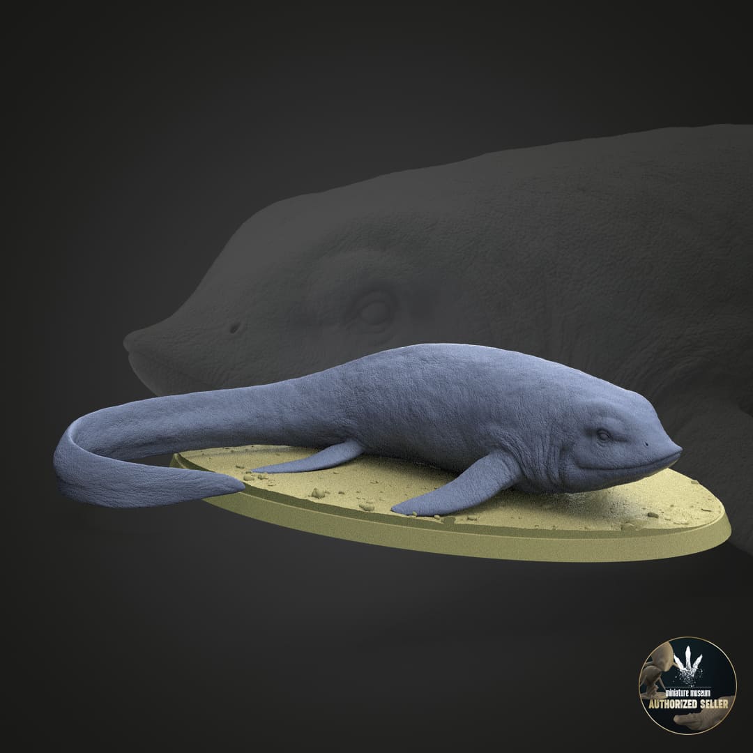 Cartorhynchus lenticarpus