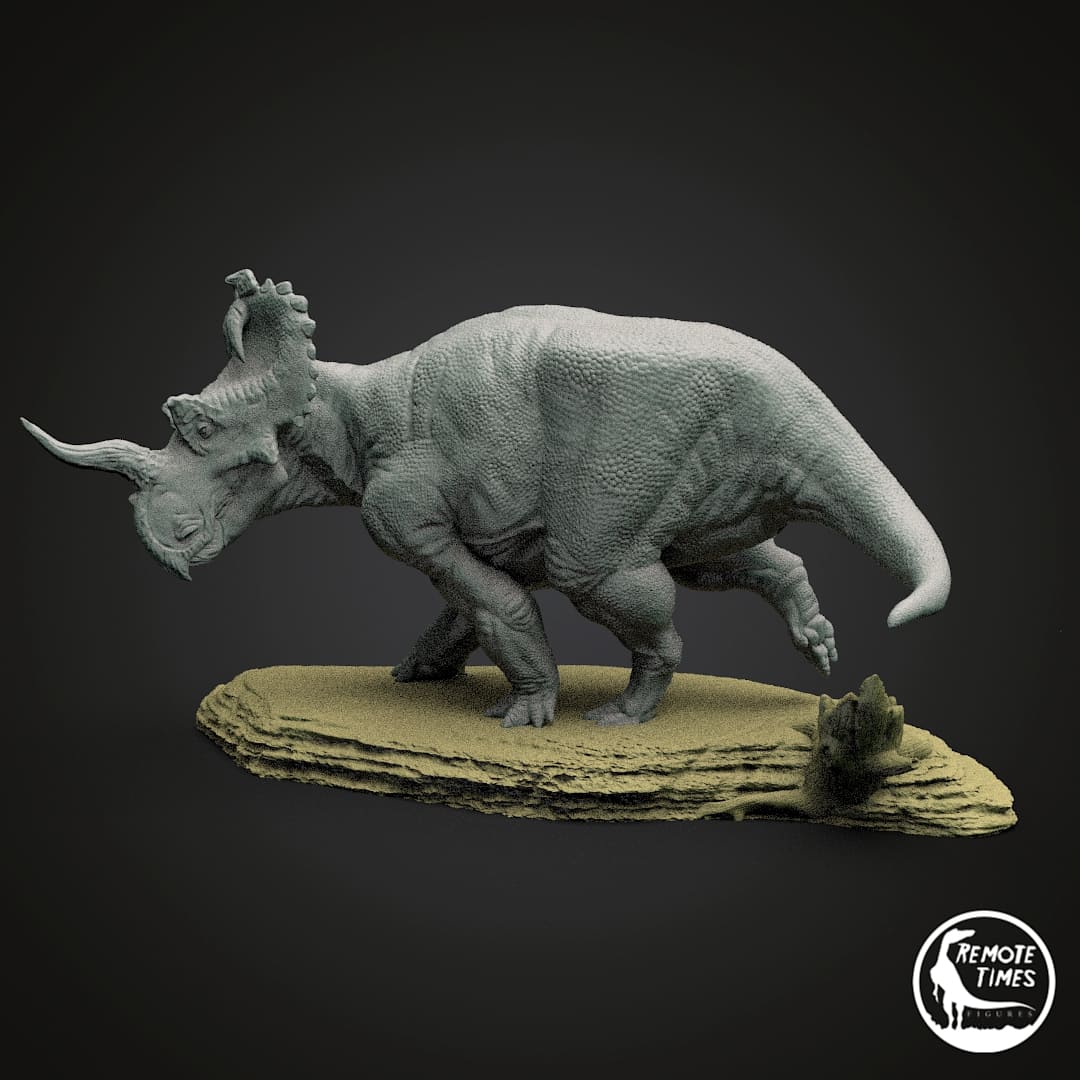 Centrosaurus apertus