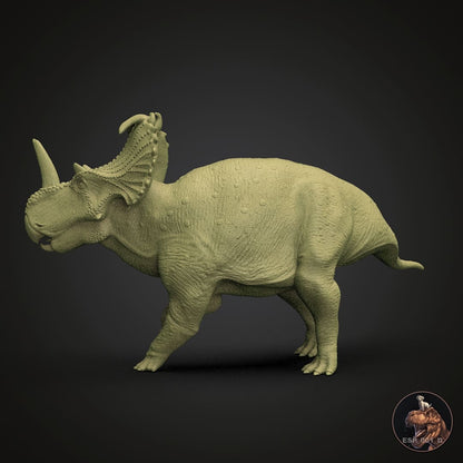 Centrosaurus apertus