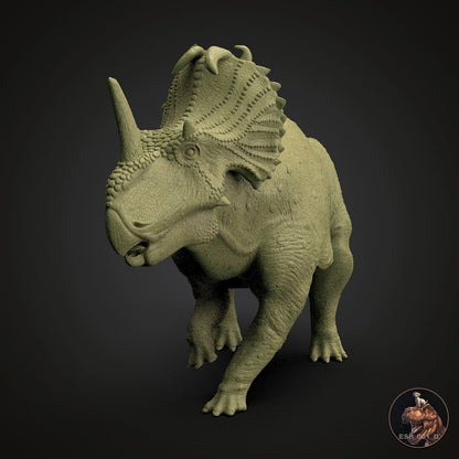 Centrosaurus apertus