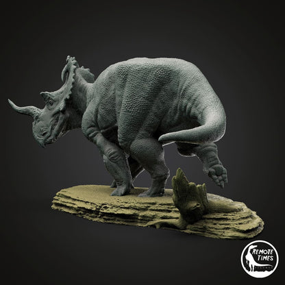 Centrosaurus apertus