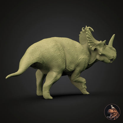 Centrosaurus apertus
