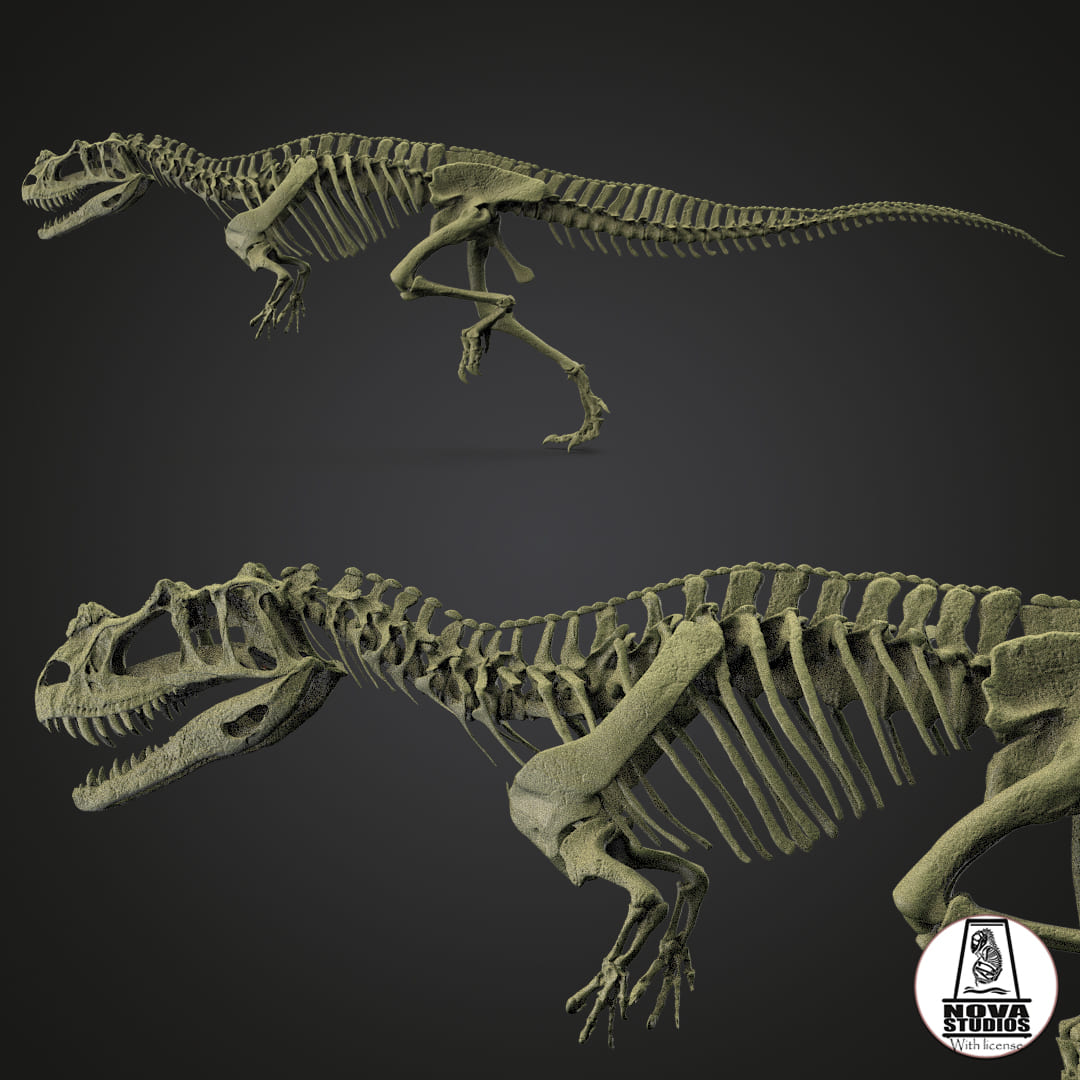 Ceratosaurus nasicornis