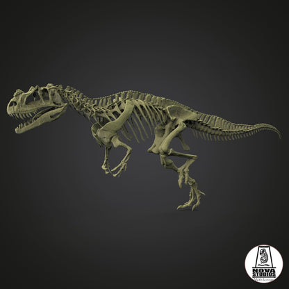 Ceratosaurus nasicornis