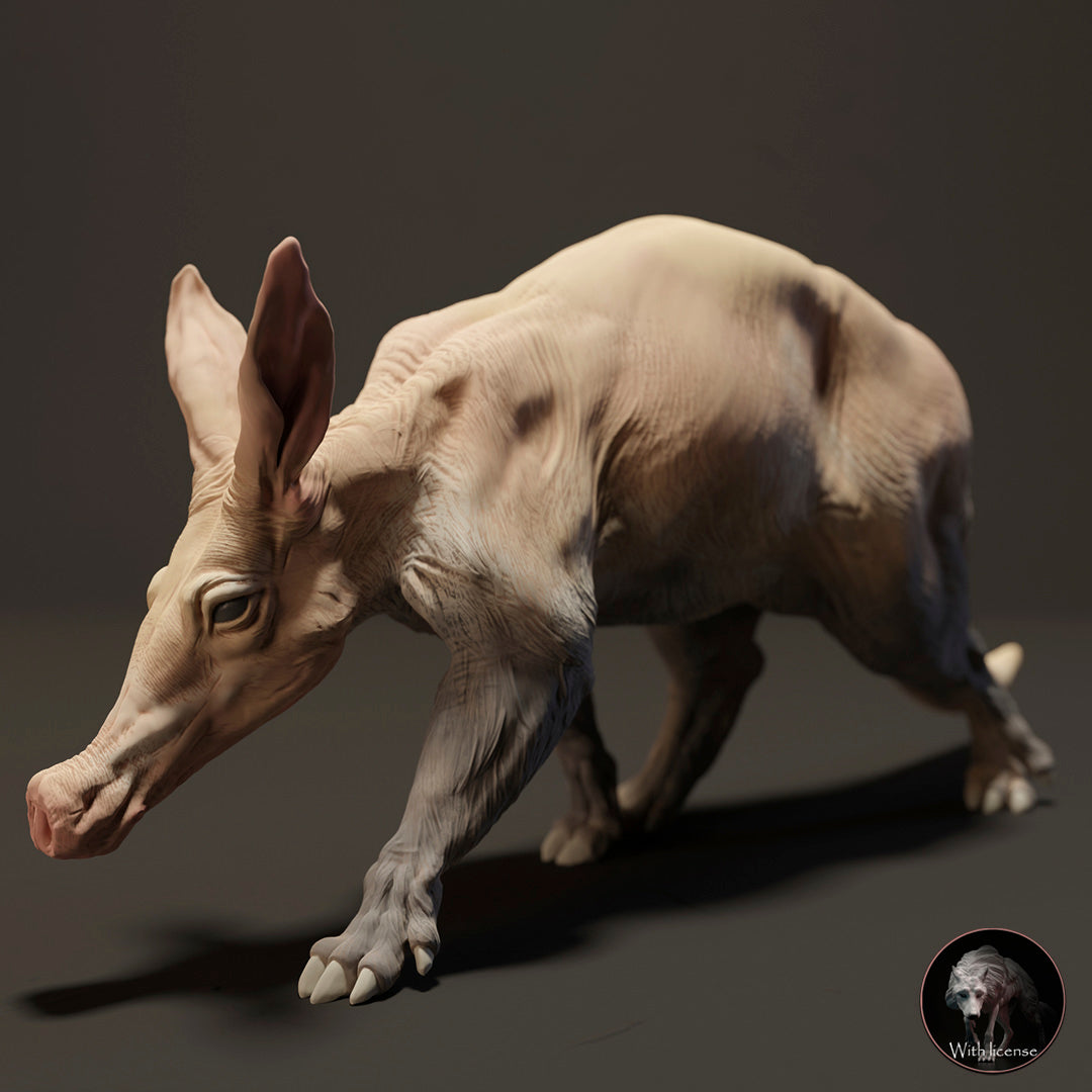 Aardvark