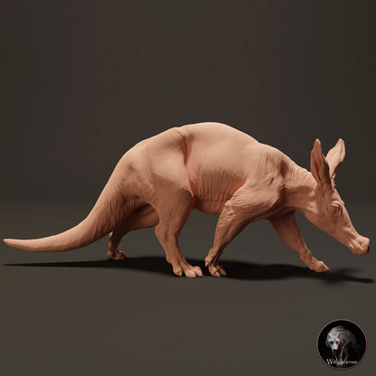 Aardvark