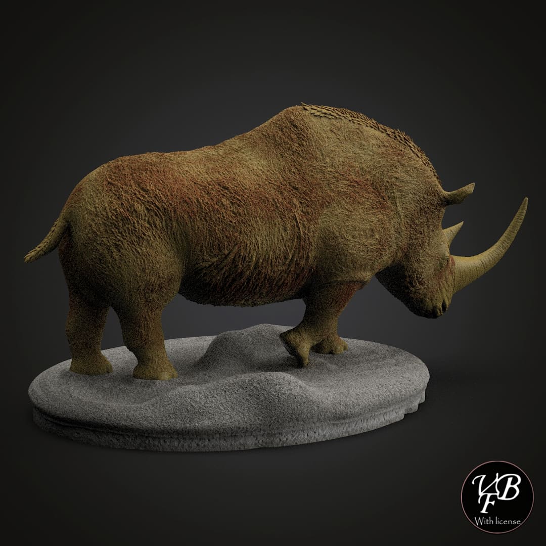 Coelodonta antiquitatis
