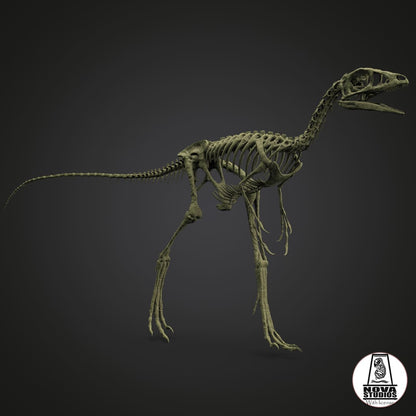 Compsognathus longipes