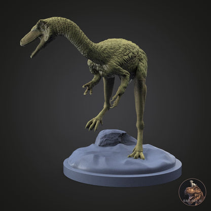 Compsognathus longipes