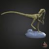 Compsognathus longipes