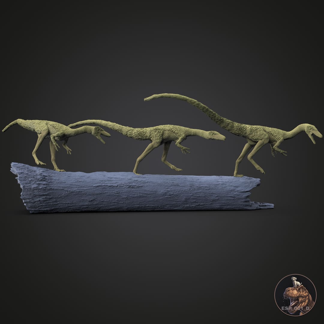 Compsognathus longipes