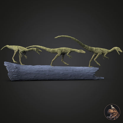 Compsognathus longipes