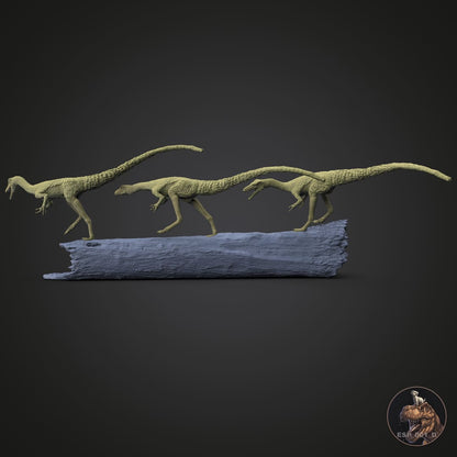 Compsognathus longipes