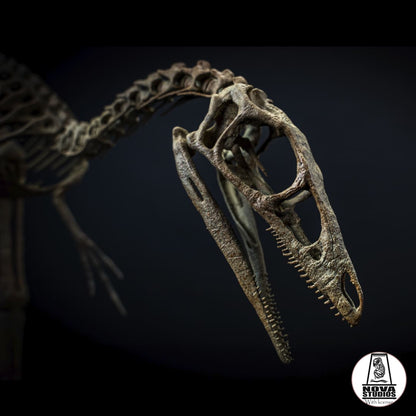 Compsognathus longipes