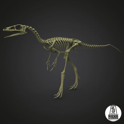 Compsognathus longipes