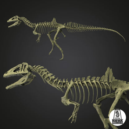 Concavenator corcovatus skeleton