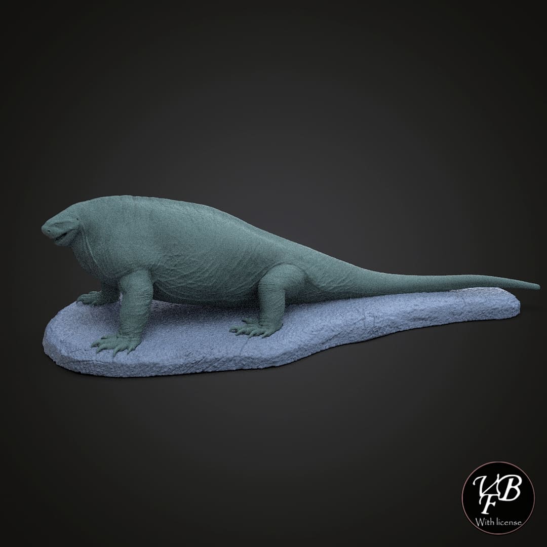 Cotylorhynchus