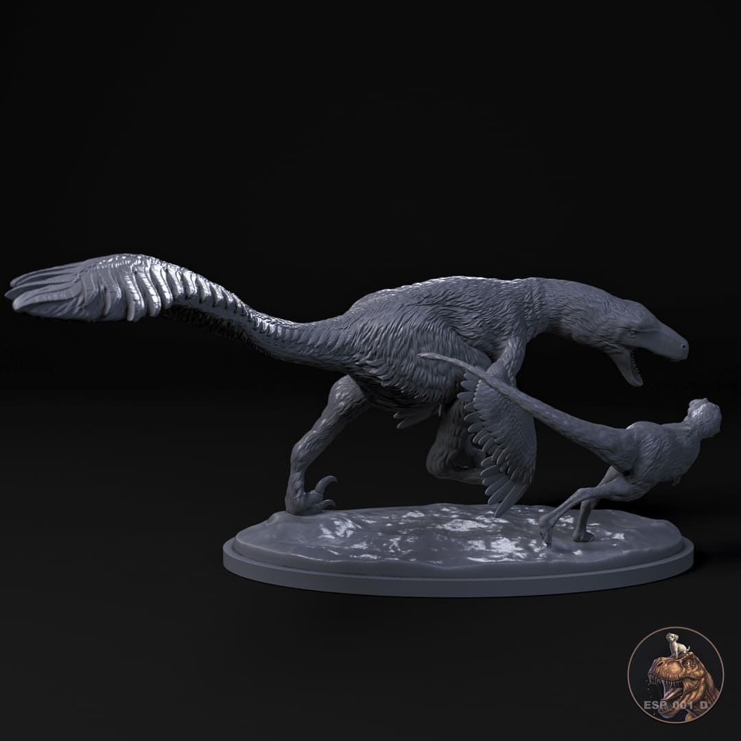 Dakotaraptor steini / Tyrannosaurus rex