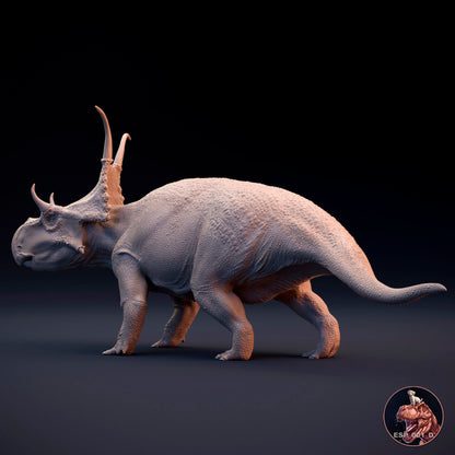 Diabloceratops eatoni