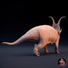 Diabloceratops eatoni