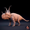 Diabloceratops eatoni