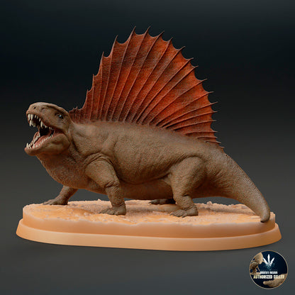 Dimetrodon limbatus