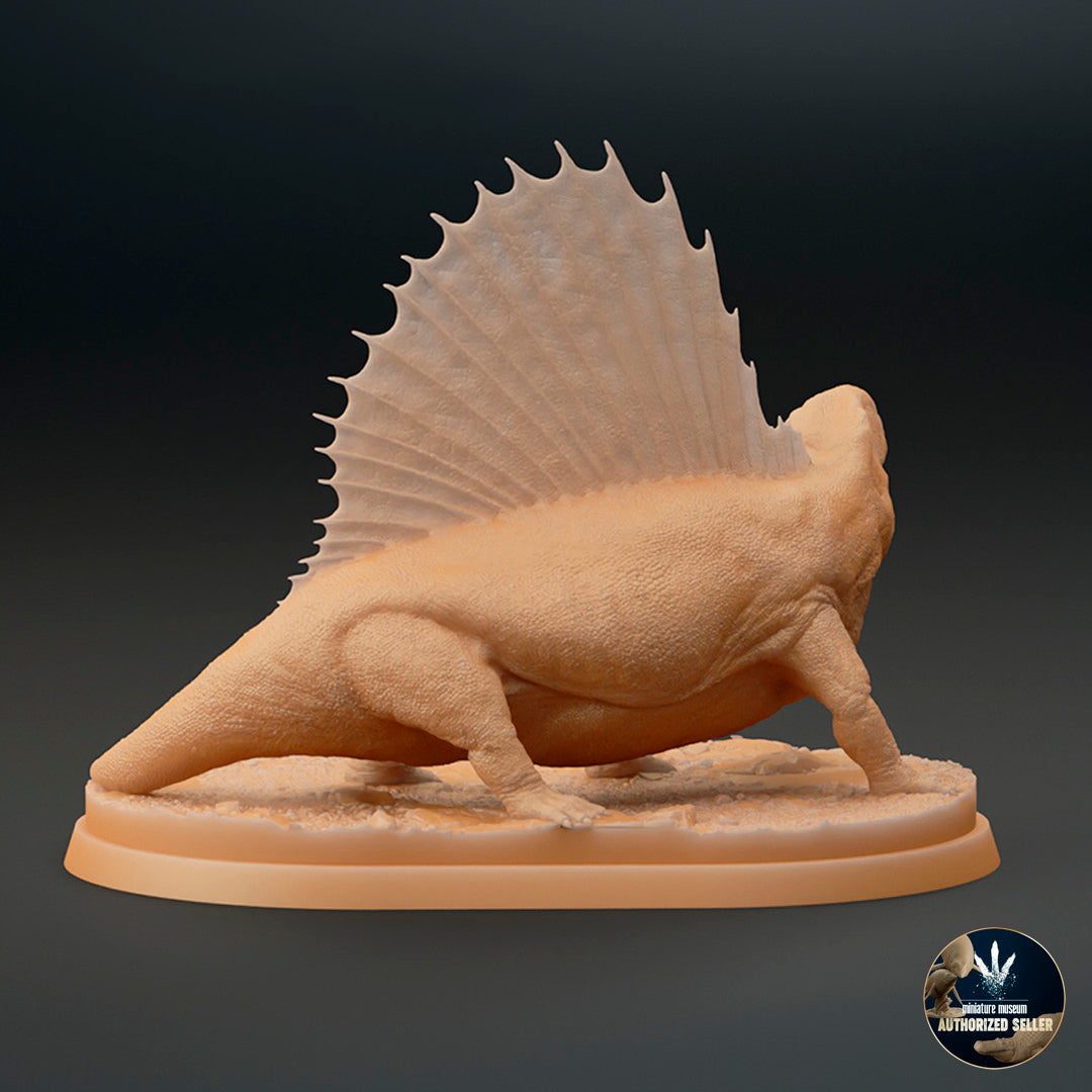 Dimetrodon limbatus