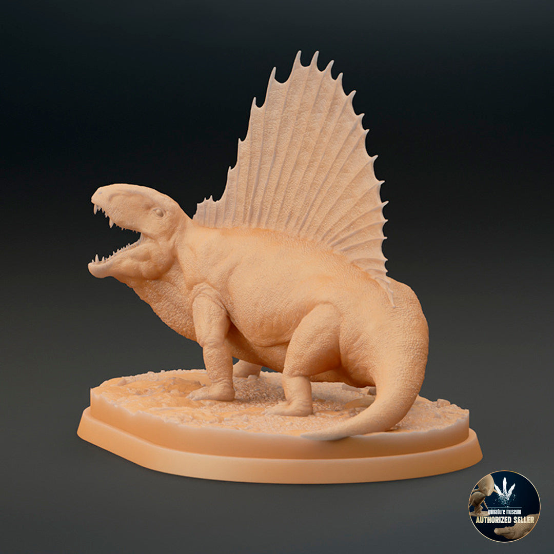 Dimetrodon limbatus