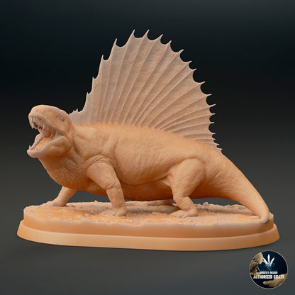 Dimetrodon limbatus