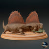 Dimetrodon limbatus