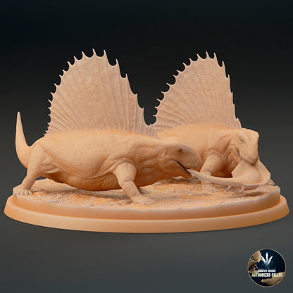 Dimetrodon limbatus