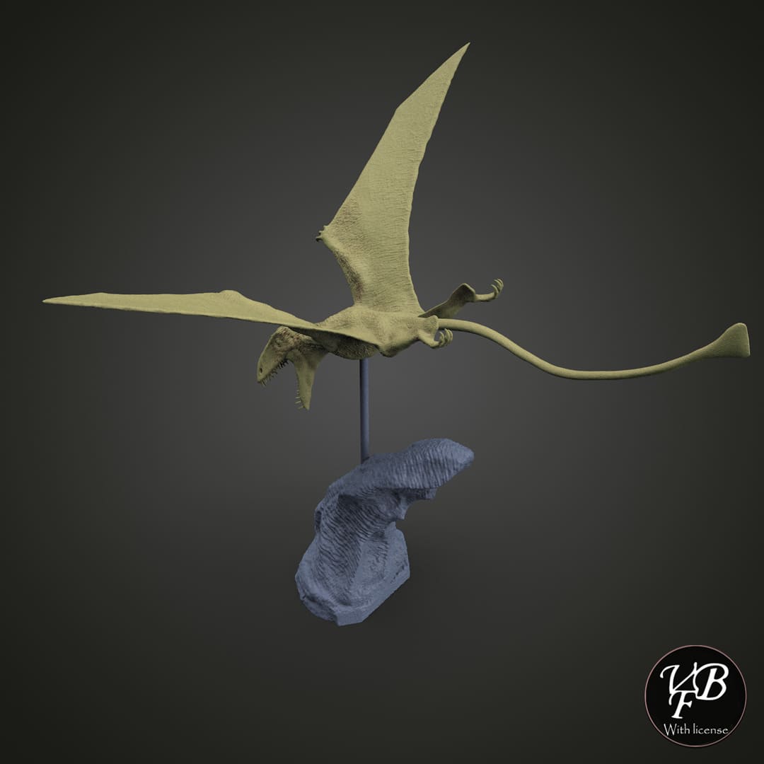 Dimorphodon Macronyx