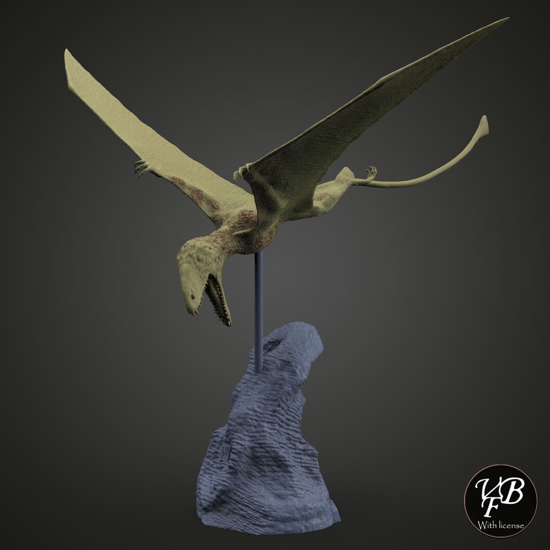 Dimorphodon Macronyx