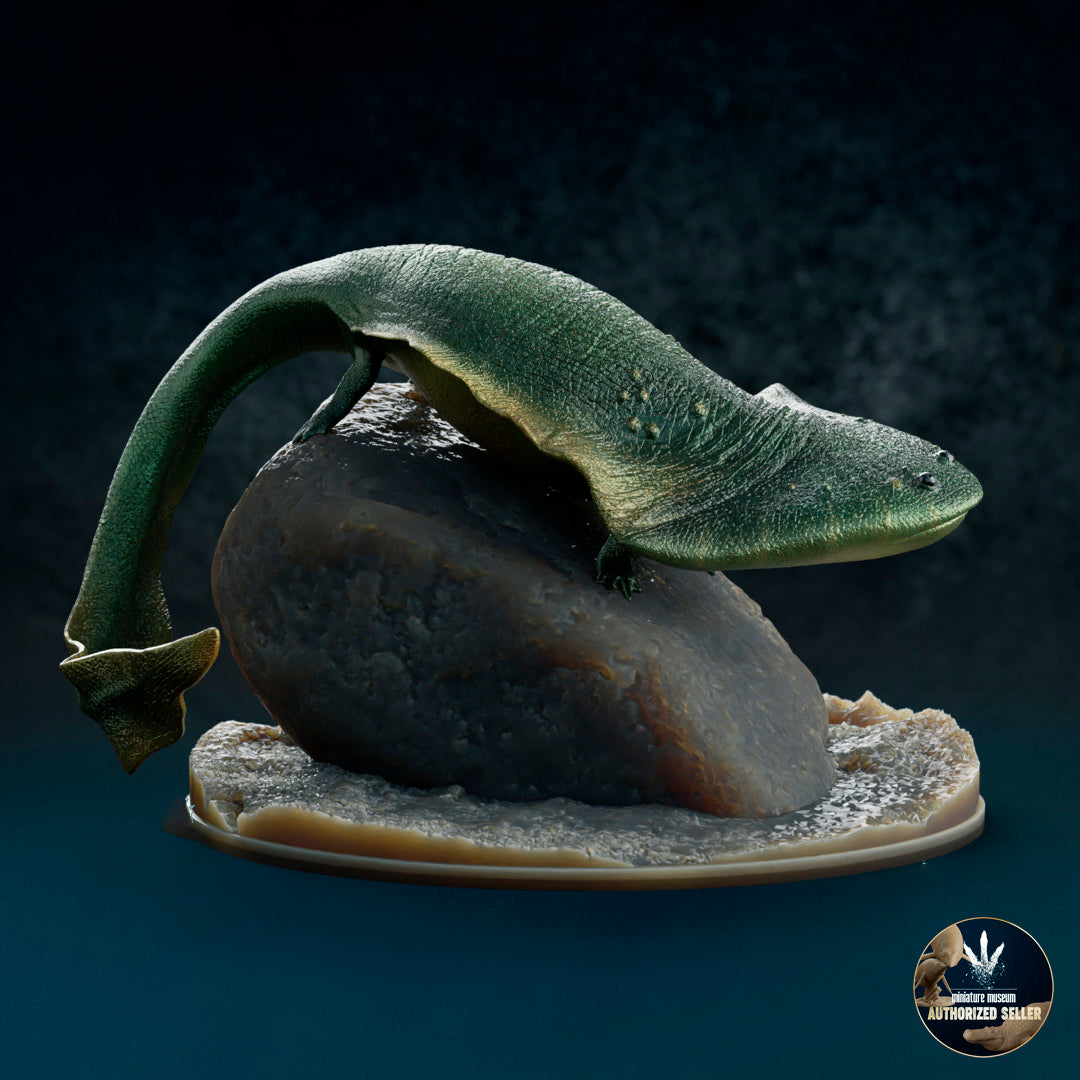 Diplocaulus Magnicornis Dinosauria Creatures diplocaulus-magnicornis-dinosauria-creatures