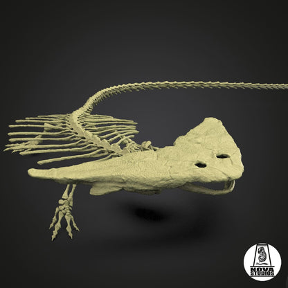 Diplocaulus magnicornis