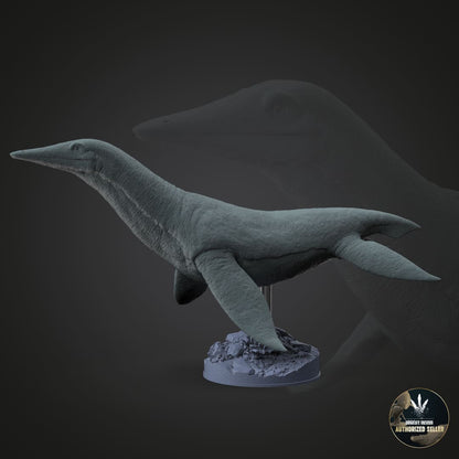 Dolichorhynchops osborni