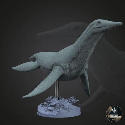 Dolichorhynchops osborni