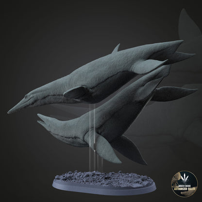 Dolichorhynchops osborni