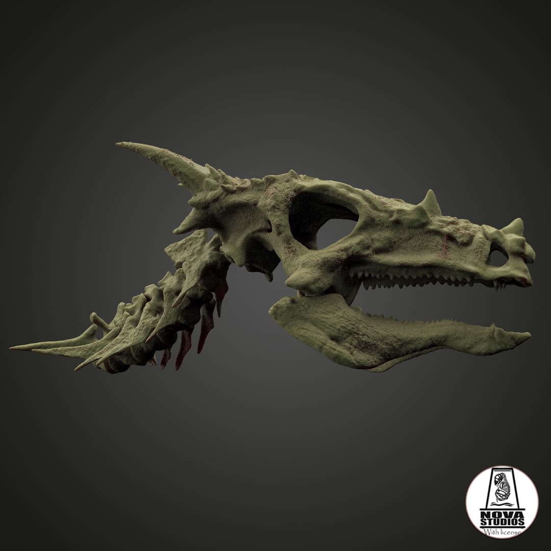 Dracorex-Schädel