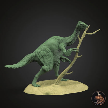 Duonychus tsogtbaatari