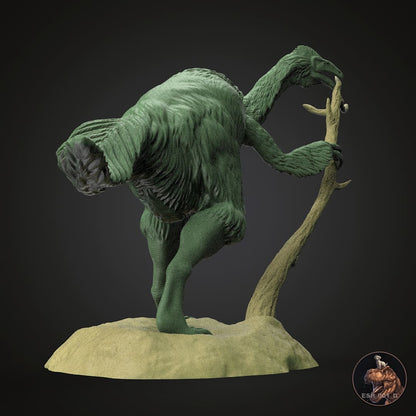 Duonychus tsogtbaatari
